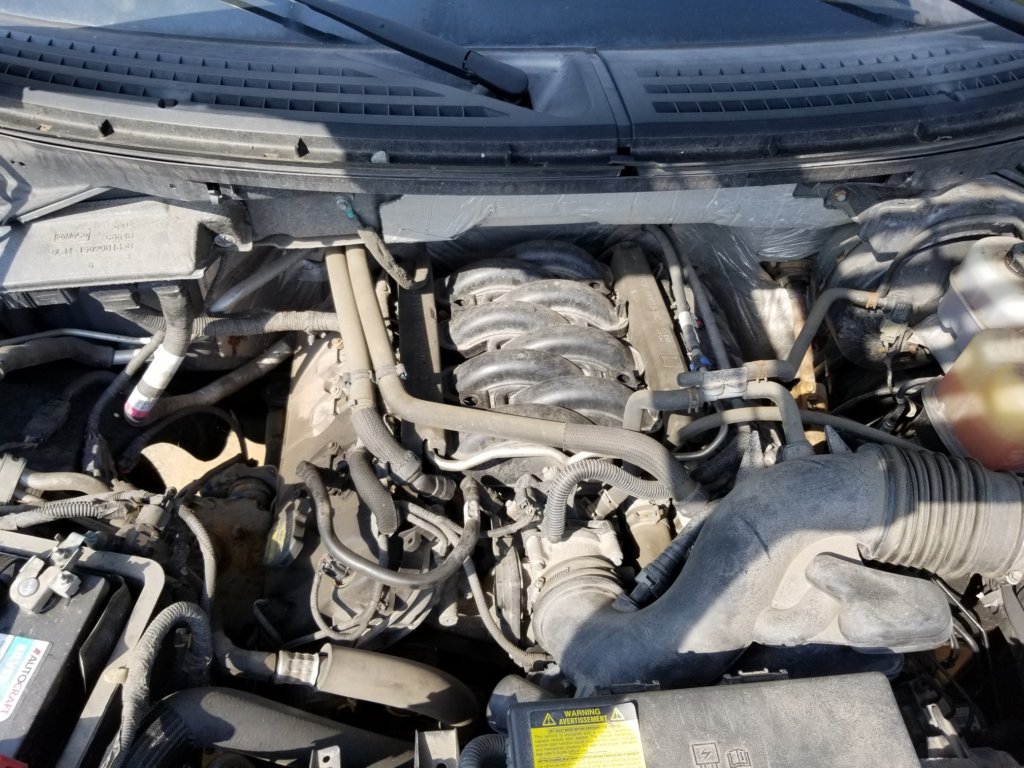 Ford F150 5.0L engine bay with the engine oil fill cap and dip stick pictured